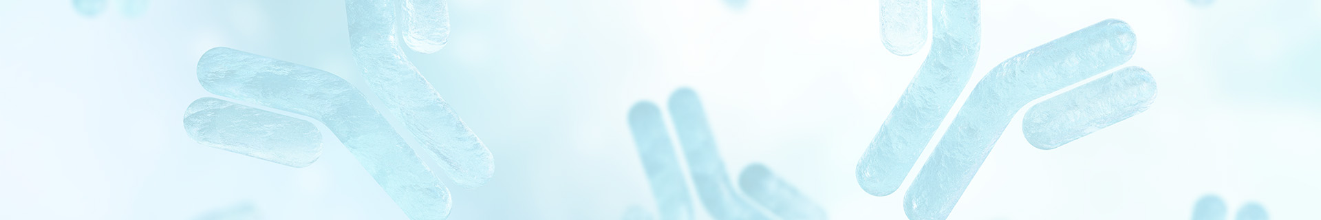 DNA_Klein