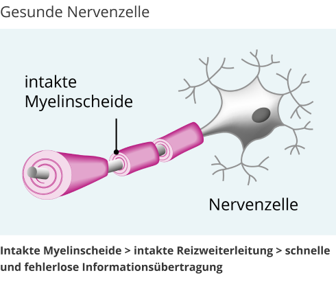 Nervenzelle