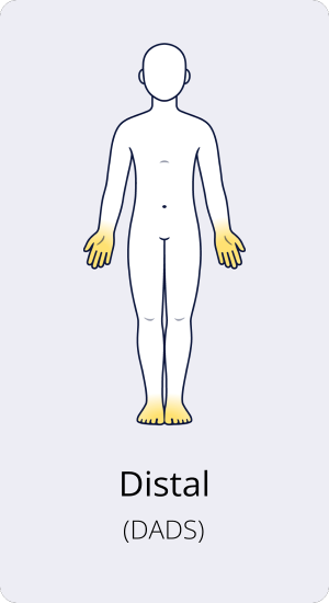 Distal (DADS)