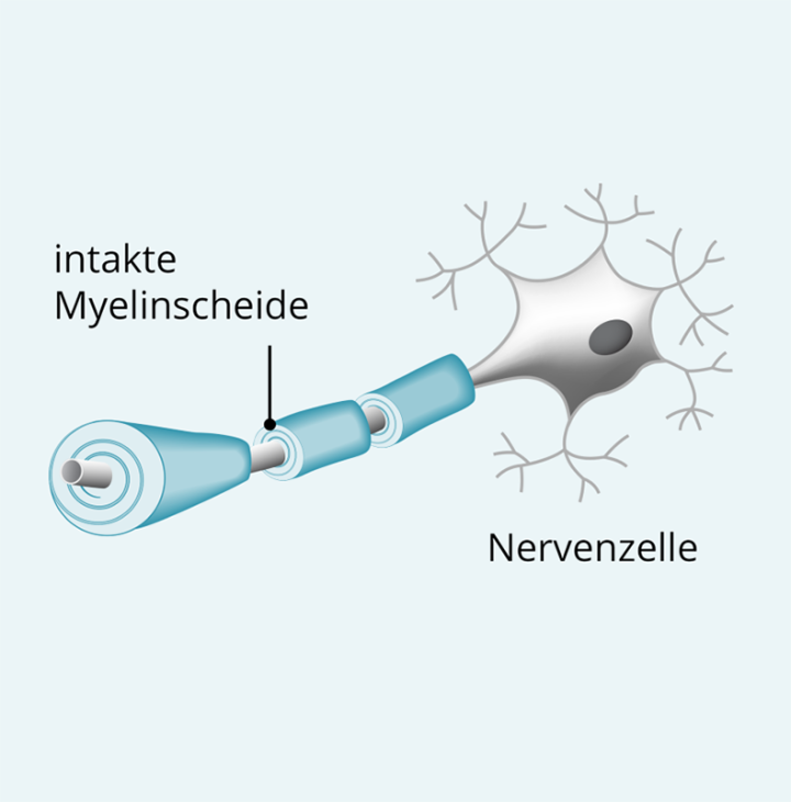 Illustration-gesunde-Nervenzelle