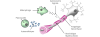 rectangle_224